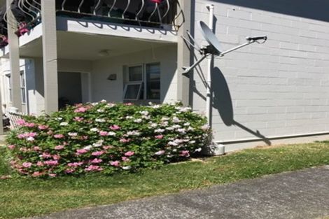 Photo of property in 11u2 Trafalgar Street, Johnsonville, Wellington, 6037
