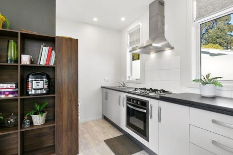 Photo of property in 102 Norwood Street, Normanby, Dunedin, 9010