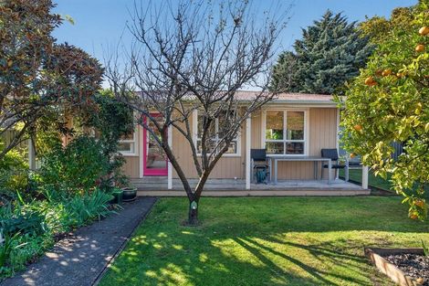 Photo of property in 33 Venice Street, Martinborough, 5711