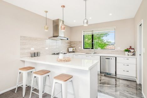 Photo of property in 17 Exeter Lane, Rolleston, 7614