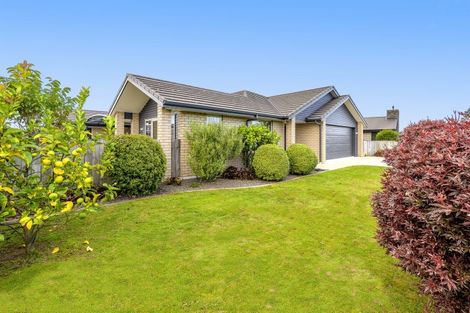 Photo of property in 39 Materawaho Way, Pyes Pa, Tauranga, 3112