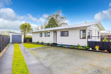 Photo of property in 16 Leather Street, Huntly, 3700