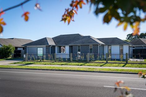 Photo of property in 50 Watkins Road, Cambridge, 3434