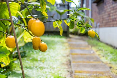 Photo of property in 1/294 Great North Road, Henderson, Auckland, 0612