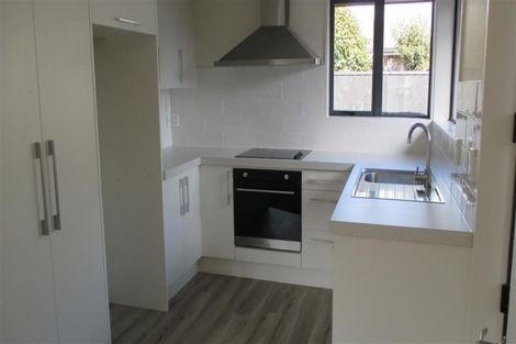 Photo of property in 83 Grafton Street, Waltham, Christchurch, 8011