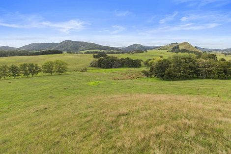 Photo of property in 559 Old Kaipara Road, Kaipara Flats, Warkworth, 0981