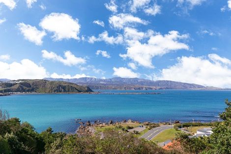 Photo of property in 5 Waitaha Way, Houghton Bay, Wellington, 6023