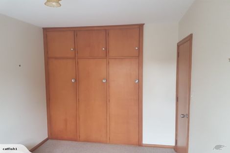 Photo of property in 54 Cleveland Street, Edgeware, Christchurch, 8013