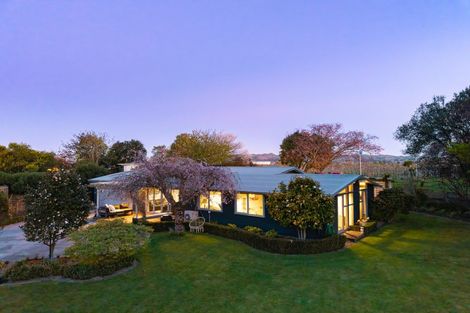 Photo of property in 114 Norton Road, Akina, Hastings, 4122