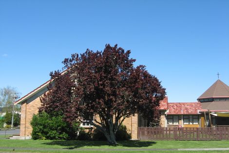 Photo of property in 16b Onslow Street, Huntly, 3700