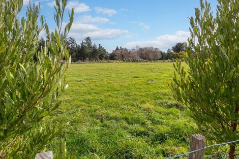 Photo of property in 16 Nelson Street, Woodville, 4997