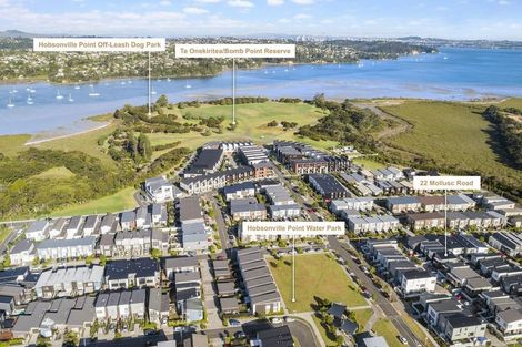 Photo of property in 22 Mollusc Road, Hobsonville, Auckland, 0616
