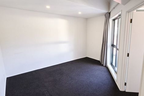 Photo of property in Palm Grove Apartments, 10/13d Palm Grove, Berhampore, Wellington, 6023
