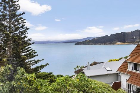 Photo of property in 118 Te Anau Road, Hataitai, Wellington, 6021