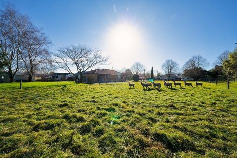 Photo of property in 8 Reeves Street, Cheviot, 7310