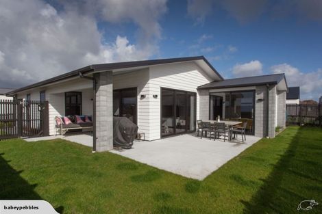 Photo of property in 21 Medway Place, Chartwell, Hamilton, 3210