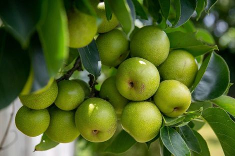 Photo of property in 107 King Street, Cambridge, 3434