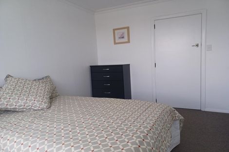 Photo of property in 219 Union Street, Milton, 9220