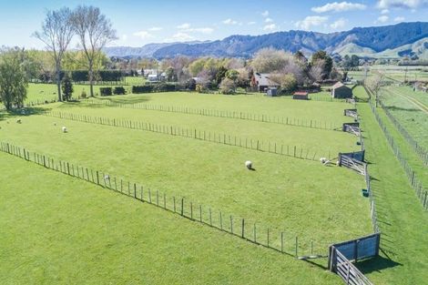 Photo of property in 155 Fairfield Road, Levin, 5510