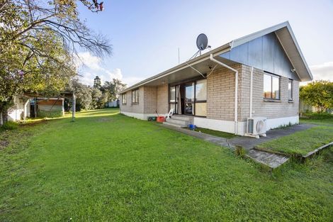 Photo of property in 6 Denz Street, Maeroa, Hamilton, 3200