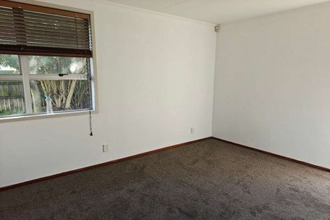 Photo of property in 91 Arimu Road, Papakura, 2110