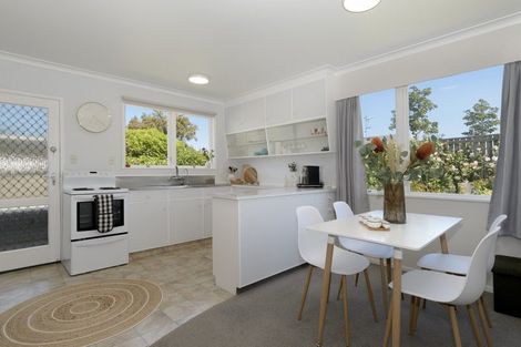 Photo of property in 48 Seventeenth Avenue, Tauranga South, Tauranga, 3112