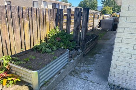 Photo of property in 45a Moehau Street, Te Puke, 3119