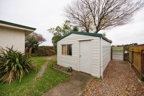 Photo of property in 232 Tremaine Avenue, Highbury, Palmerston North, 4412