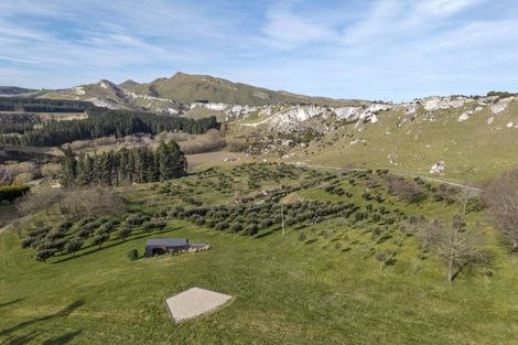 Photo of property in 101 Laidmore Road, Broomfield, 7482