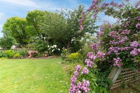 Photo of property in 47 Costley Street, Carterton, 5713
