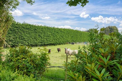 Photo of property in 72 Millton Park Road, Mill Road, Invercargill, 9871