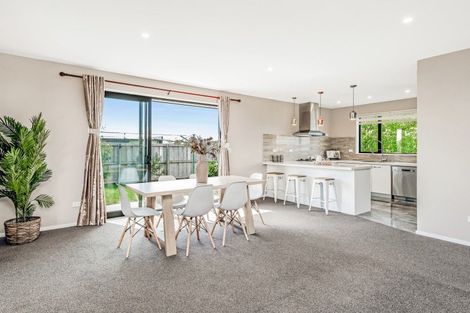 Photo of property in 17 Exeter Lane, Rolleston, 7614