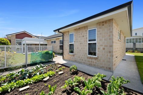 Photo of property in 11 Wesley Avenue, Frankleigh Park, New Plymouth, 4310