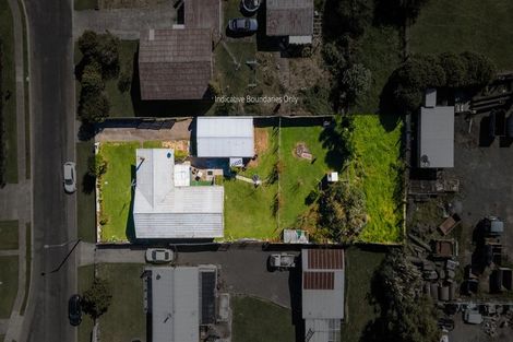 Photo of property in 17 Menzies Place, Paeroa, 3600