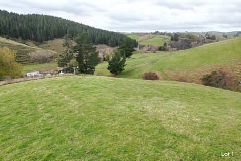 Photo of property in 65 Gabriels Gully Road, Lawrence, 9593
