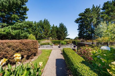 Photo of property in 155b Halcombe Road, Feilding, 4775