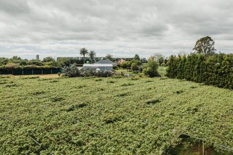 Photo of property in 568 Te Puke Highway, Te Puke, 3187