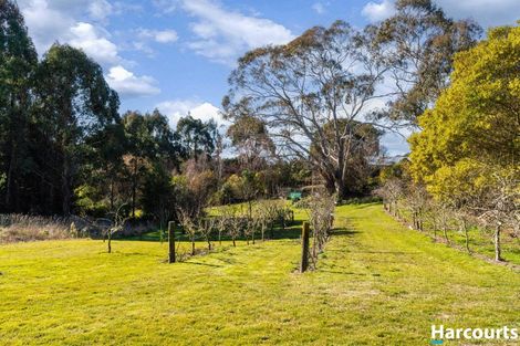 Photo of property in 367 The Coastal Hway, Redwood Valley, Richmond, 7081