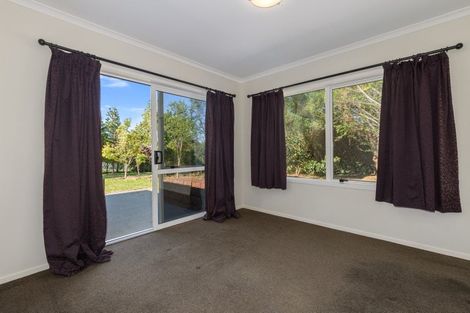 Photo of property in 407 Youngson Road, Whakamarama, Tauranga, 3179