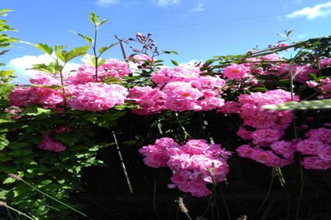 Photo of property in 38 Bonnett Road, Kaitaia, 0410