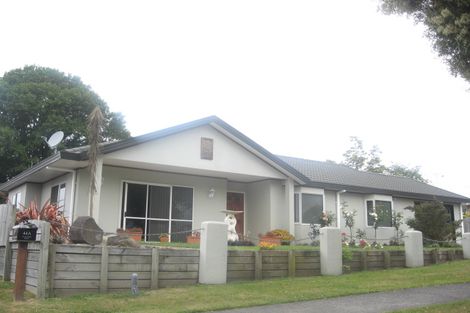 Photo of property in 46a Moehau Street, Te Puke, 3119
