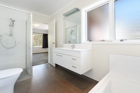 Photo of property in 407 Youngson Road, Whakamarama, Tauranga, 3179