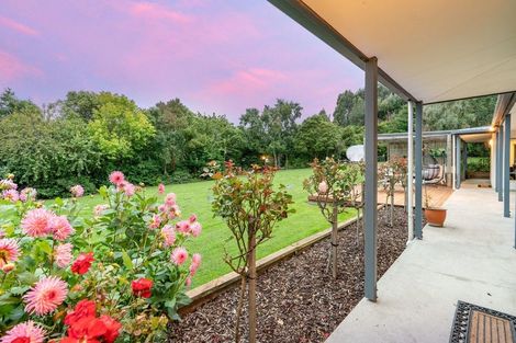 Photo of property in 20g Brighton Road, Green Island, Dunedin, 9018