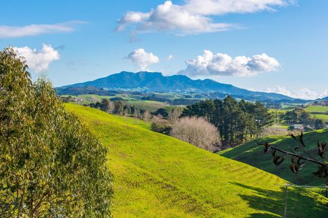 Photo of property in 183 Checkley Road, Raglan, 3295