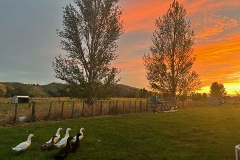 Photo of property in 60 River Road, Otane, Waipawa, 4271