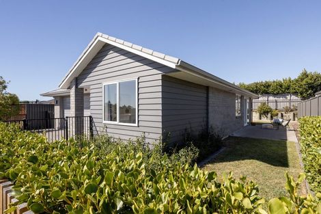 Photo of property in 65 Tabraham Crescent, Pyes Pa, Tauranga, 3112
