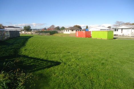 Photo of property in 20 Goodwin Street, Tirau, 3410