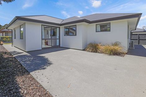 Photo of property in 38 Carters Terrace, Tinwald, Ashburton, 7700