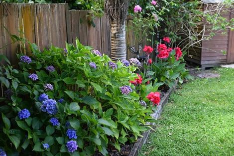 Photo of property in 9 Lyons Avenue, Murrays Bay, Auckland, 0630