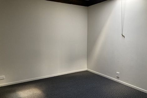 Photo of property in 119a Tiro Tiro Road, Levin, 5510